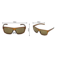 Streepher - Phieres - Brown / Brown - Sonnenbrille