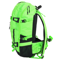 Inverdeph 30 - Phieres - Gecko Green - technischer Rucksack
