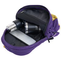 Ephedition 24 - Phieres - Purple Haze - technischer Rucksack