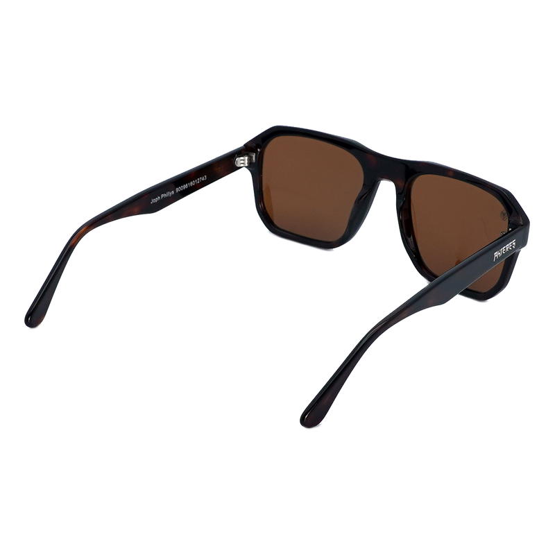 Joph Phillys - Phieres - BT Brown - Sonnenbrille