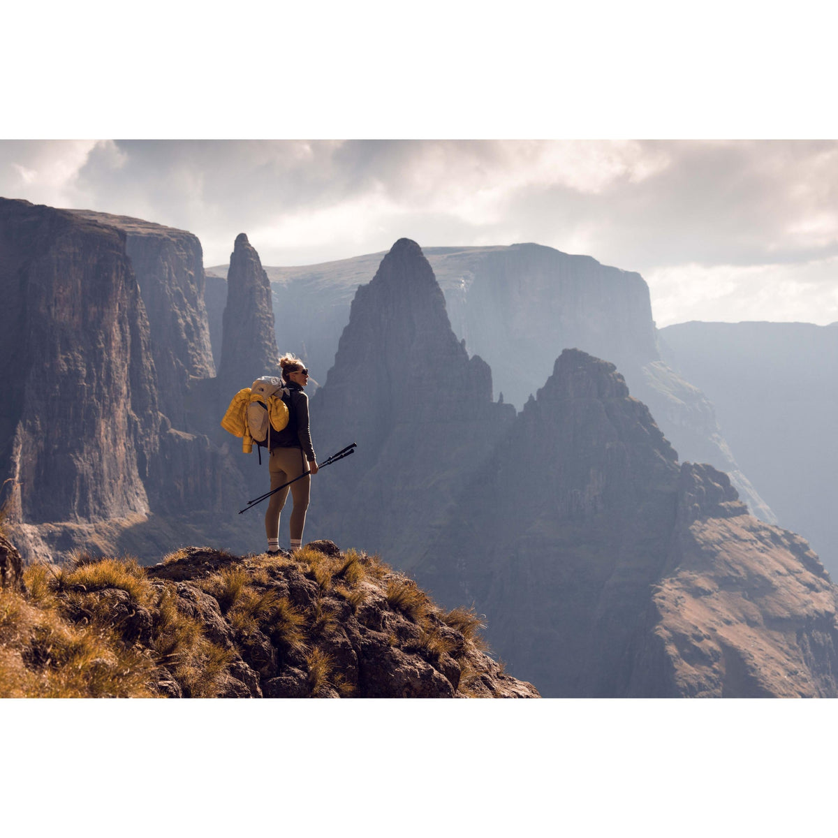 Sharkbiteph Ldt Matt Grn/K Gold Bild 8