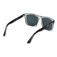 Cyphlist Clear Grey/Smoke Bild 3