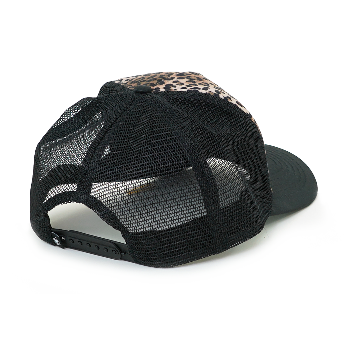 Sandphor Brown Leo Bild 2