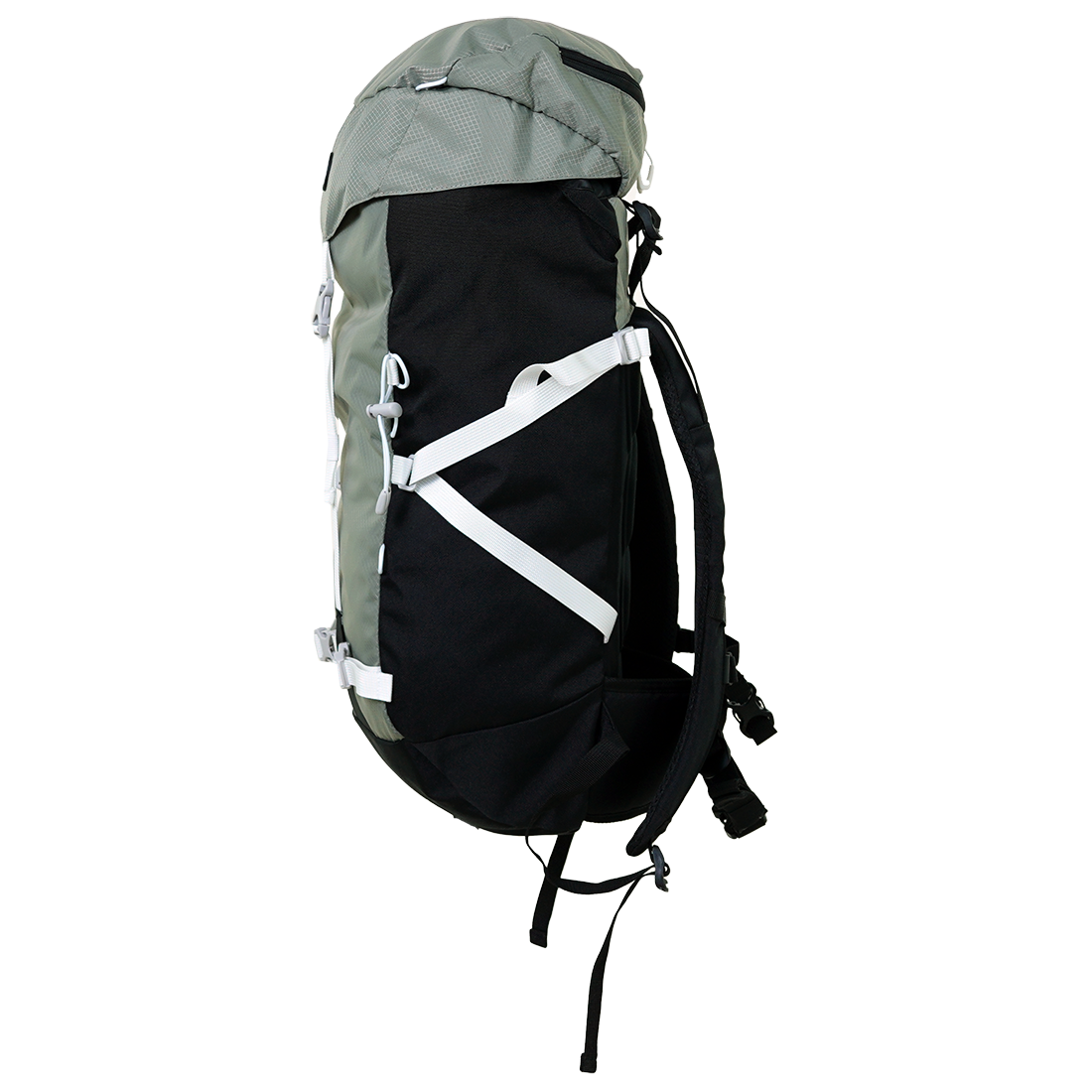 Canarsiph 37 Sage Bild 2