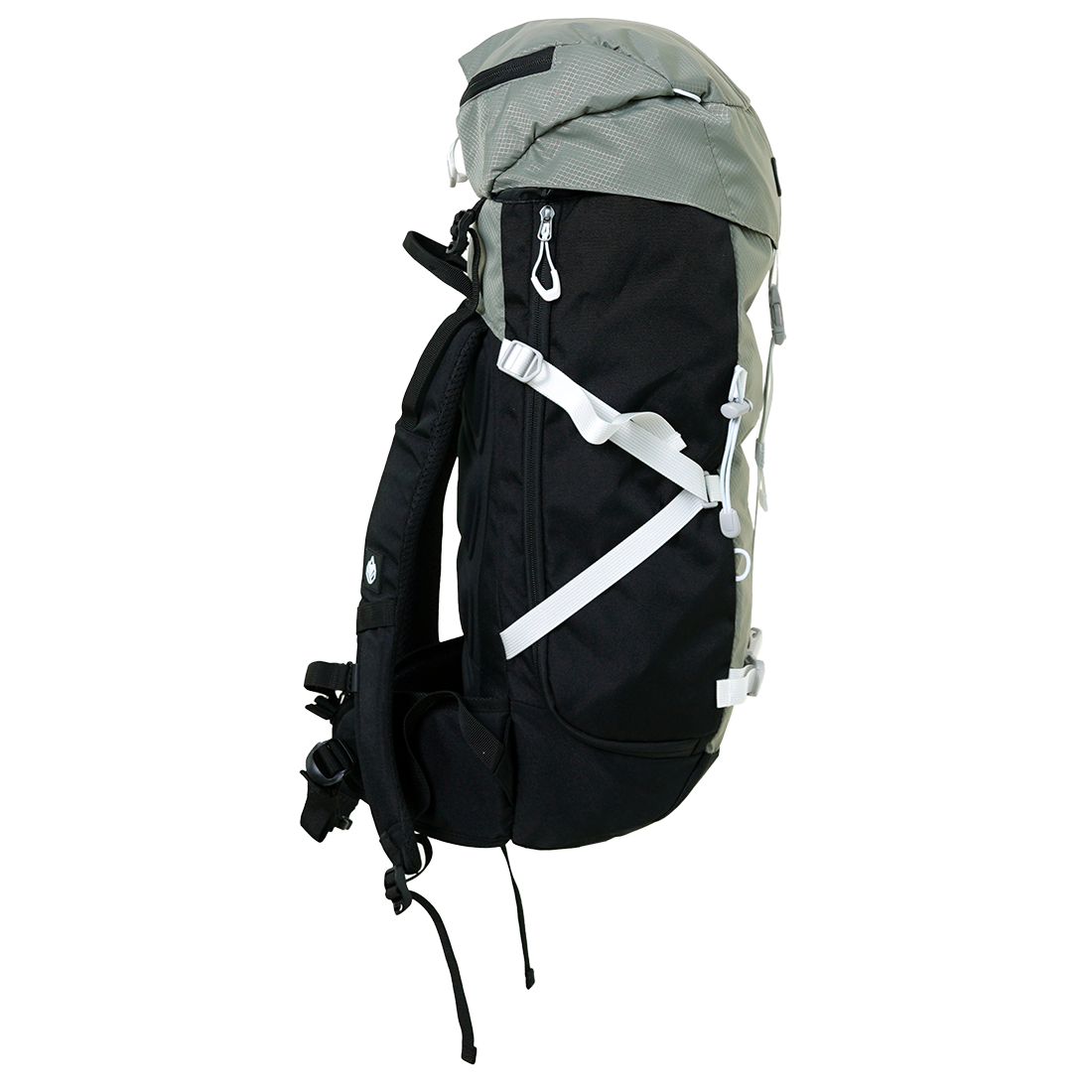 Canarsiph 37 Sage Bild 3