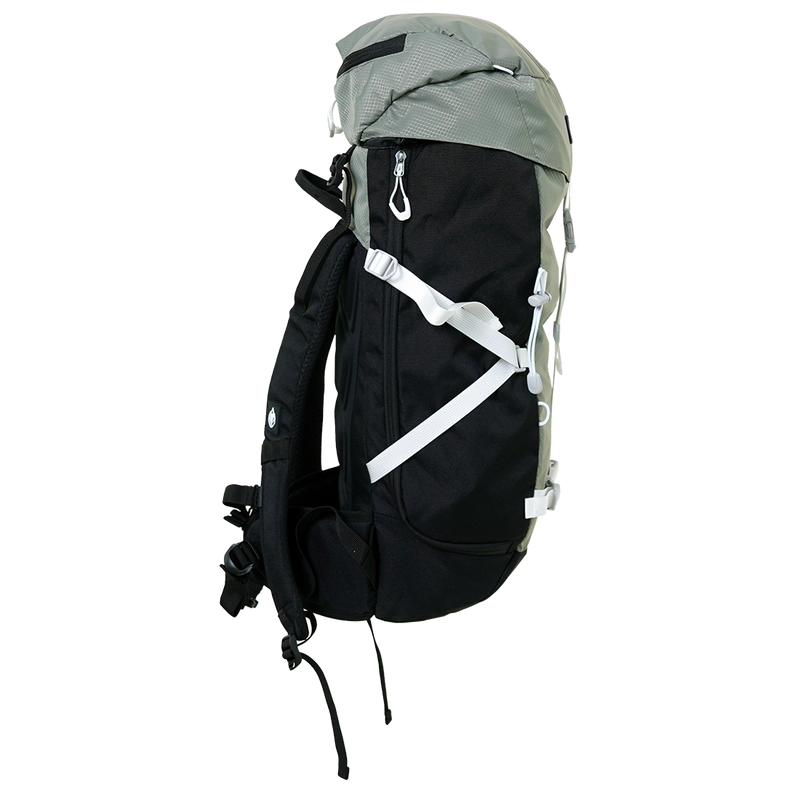 Canarsiph 37 Sage Bild 3