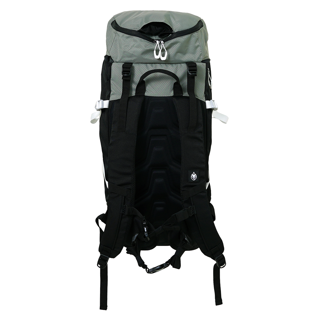 Canarsiph 37 Sage Bild 4