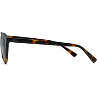 PHAXINIT Brown Tortoise/Grey Bild 2