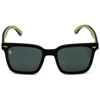 Phell Awaits Gray Polarized Bild 2