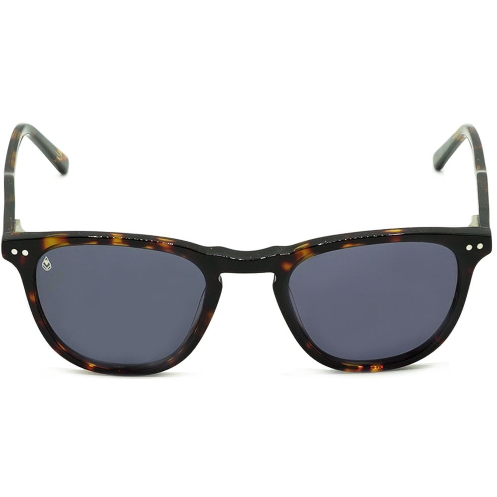 Phiesual Brown Tortoise Bild 2