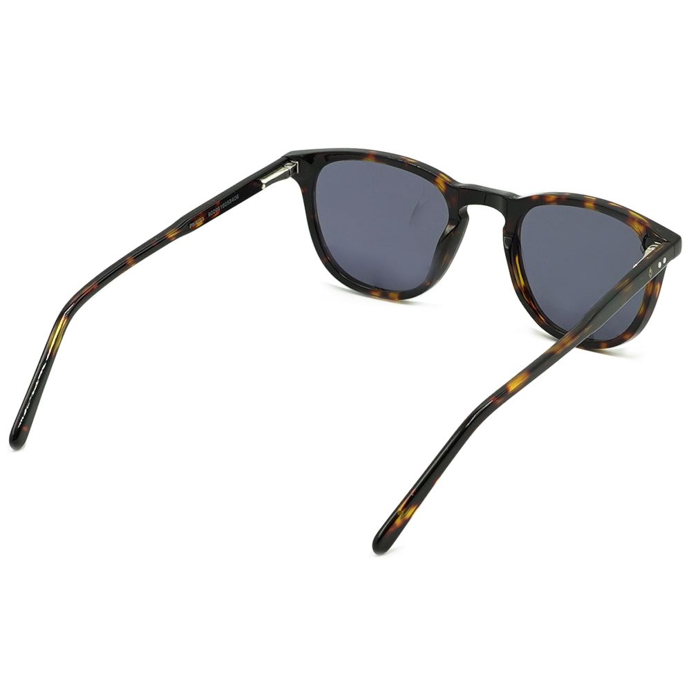 Phiesual Brown Tortoise Bild 3