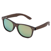 Phintervention WWW Champaign Bild 1