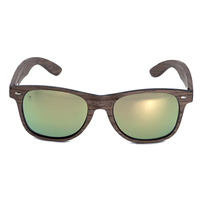 Phintervention WWW Champaign Bild 2