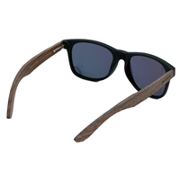 Phintervention WWW Champaign Bild 3